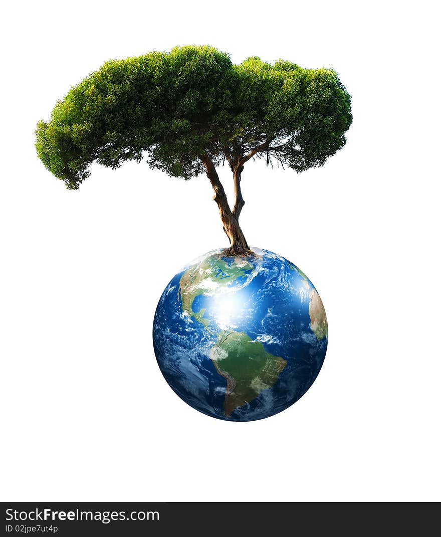 Our planet Earth and the tree - a symbol of environmental protection