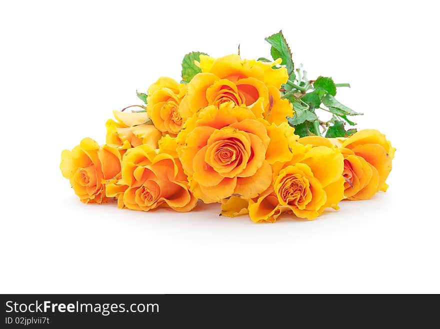 Bouquet of orange roses on a white background