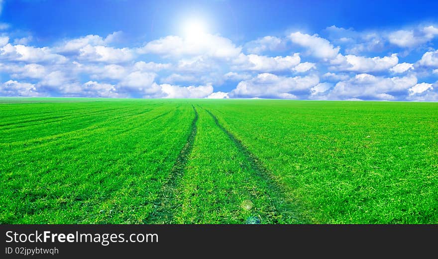 Green field and blue sky conceptual image. Panorama of green field and sky in summer.