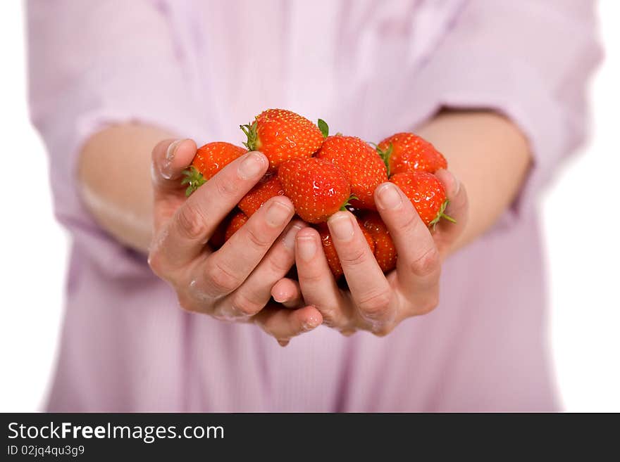 Young female hands full of strawberries