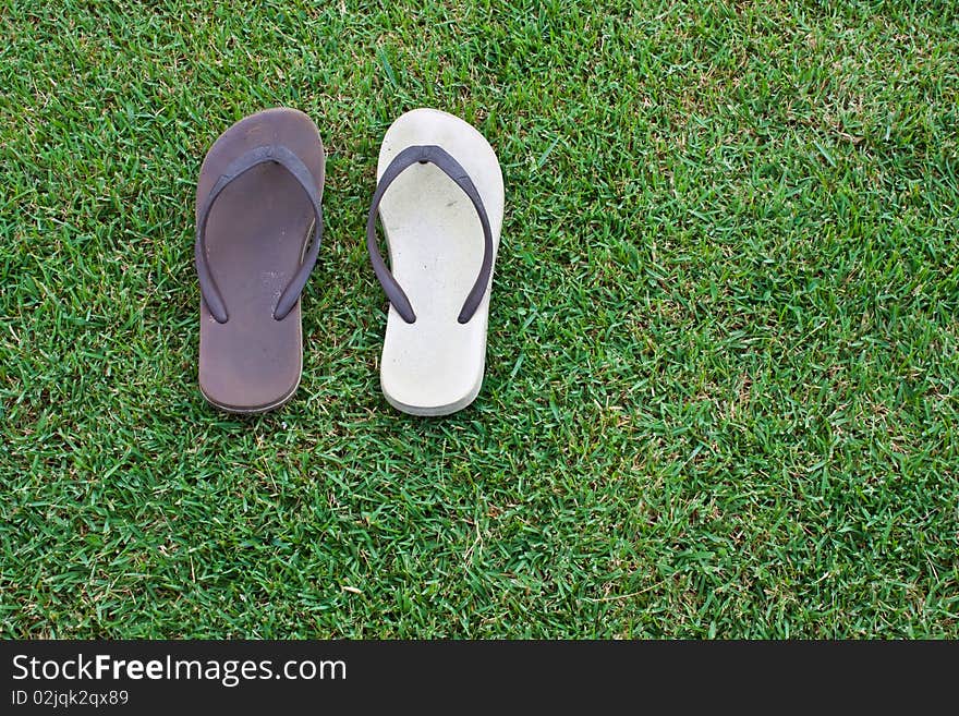 Shoes On The Grass.