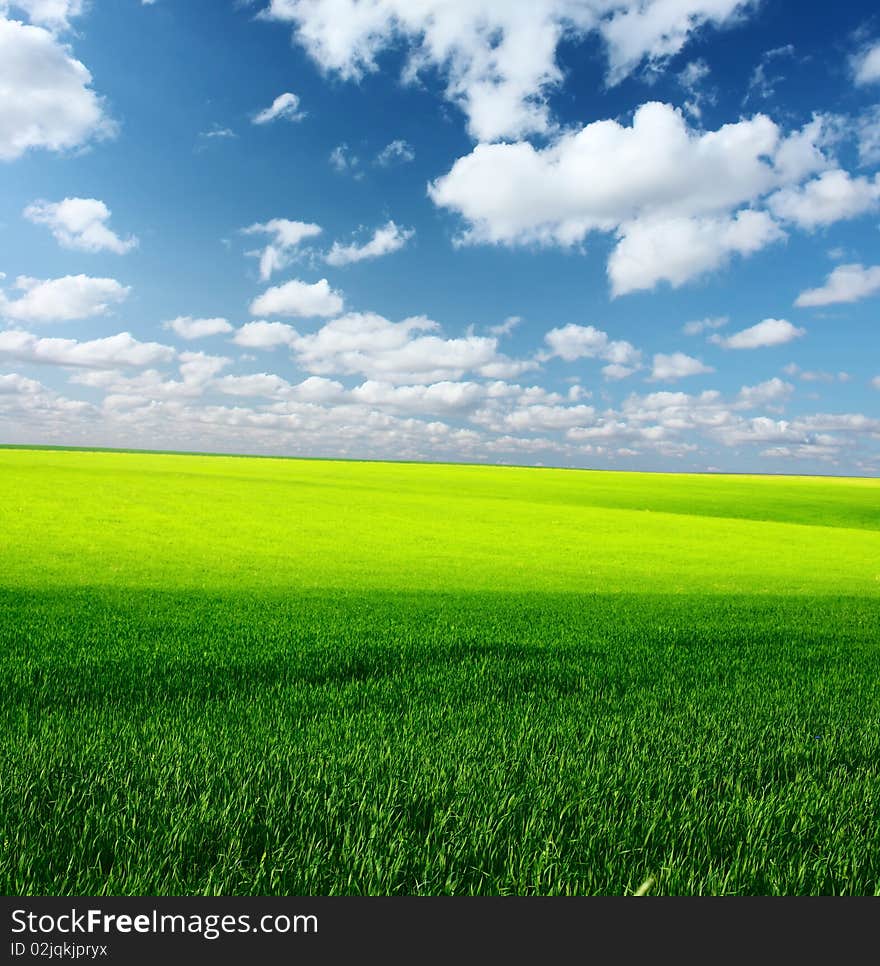 Meadow with green grass and blue sky with clouds