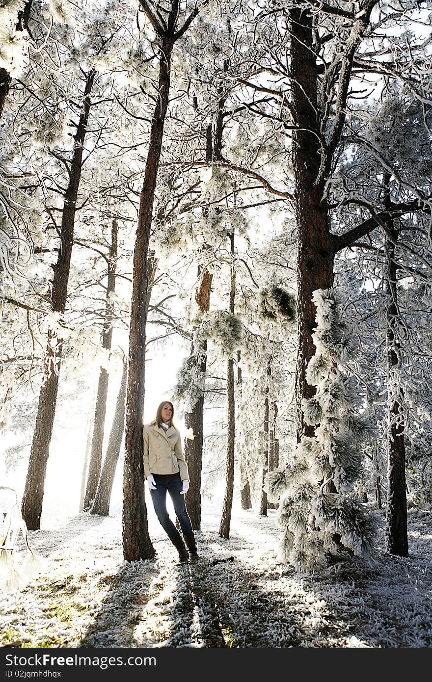 Young beautiful woman standing in glowing frosted winter forest during sunset. Young beautiful woman standing in glowing frosted winter forest during sunset