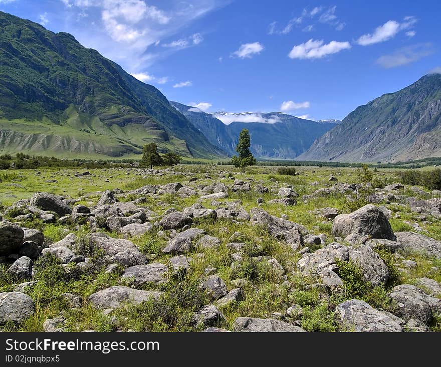 Stones and alone trees in the mountains