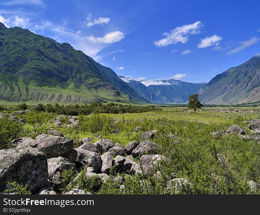 Stones and alone tree in the mountains