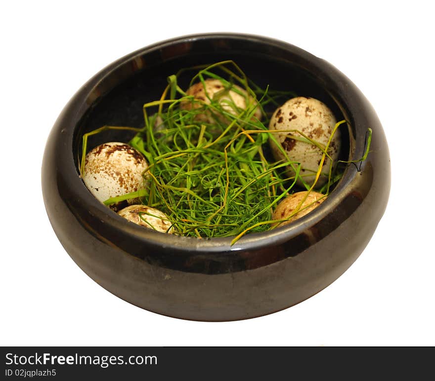 Egg of a bird in a box isolated on the white. Egg of a bird in a box isolated on the white