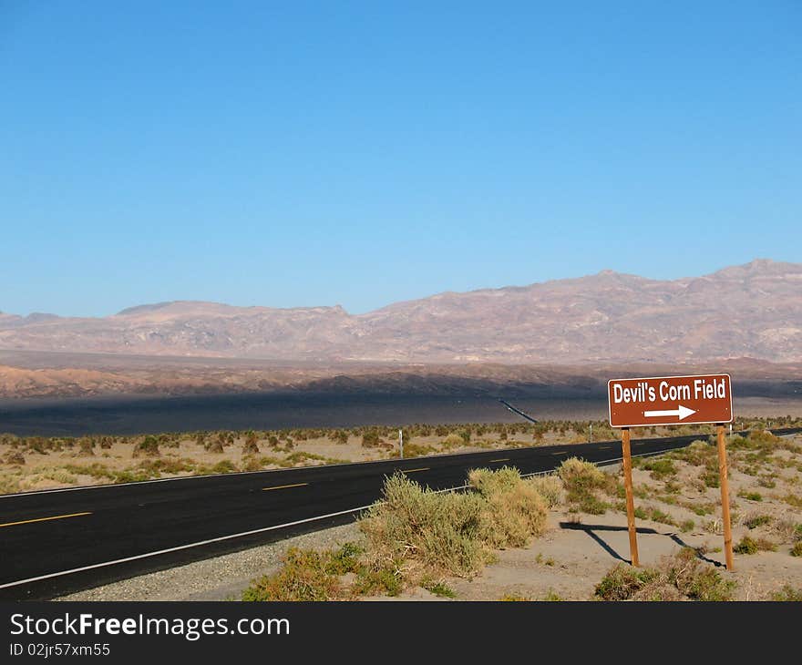 Devil s Corn Field in Death Valley