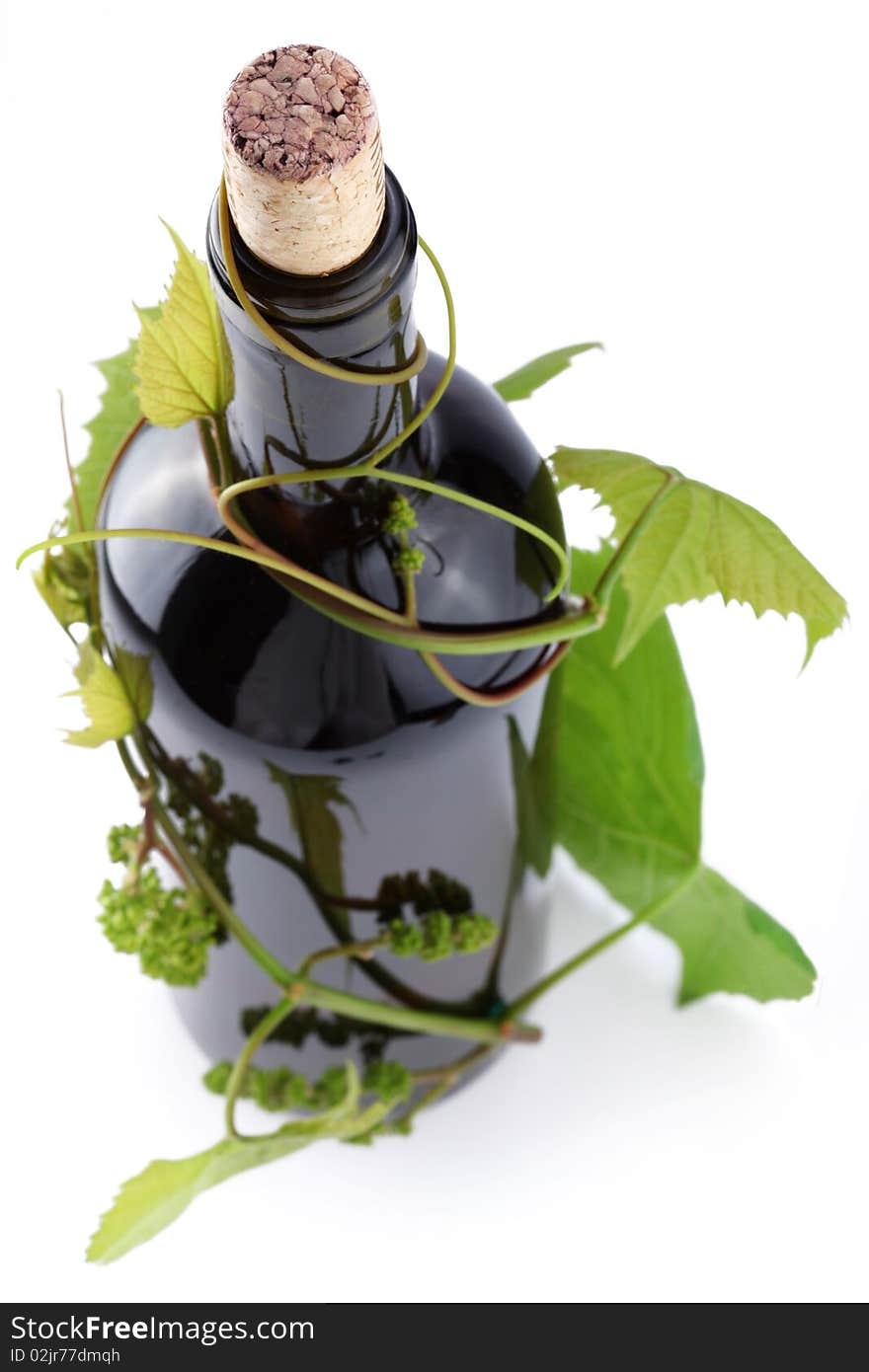 Bottle entwined with vine