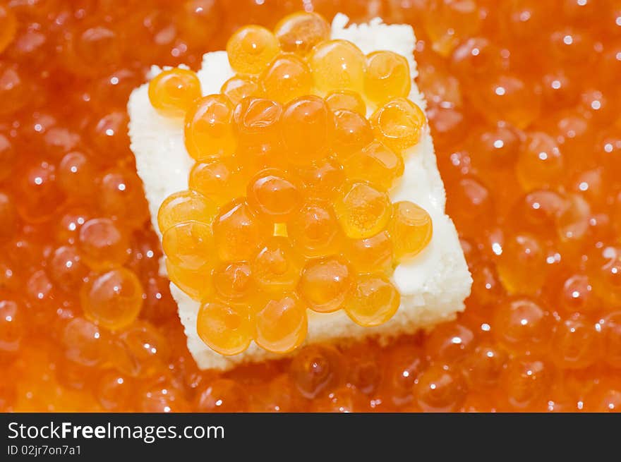 Small sandwich with a butter and caviar close up