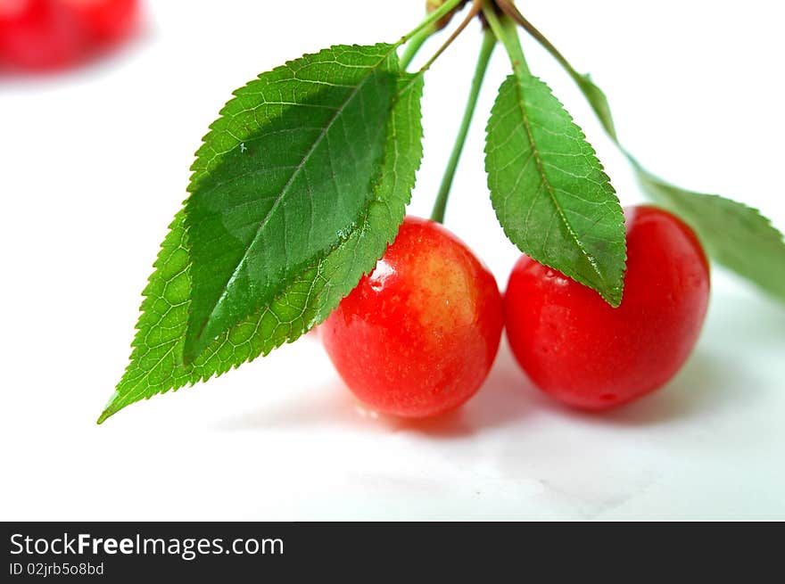 Fresh cherry fruits with leaves isolated on a white background. Fresh cherry fruits with leaves isolated on a white background