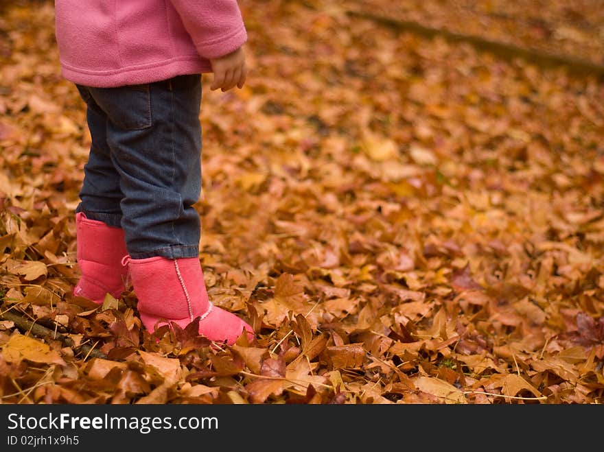 A young girl plays in Autumn leaves. A young girl plays in Autumn leaves