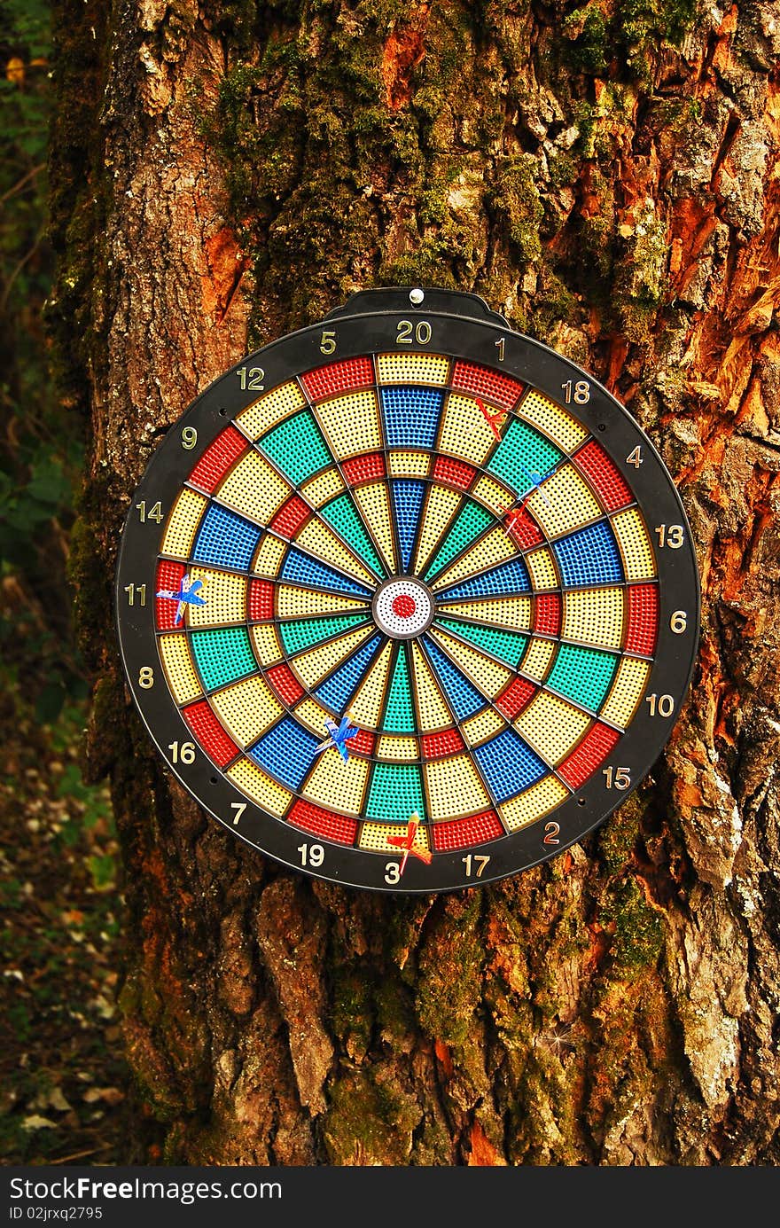 Colorful dart board on tree