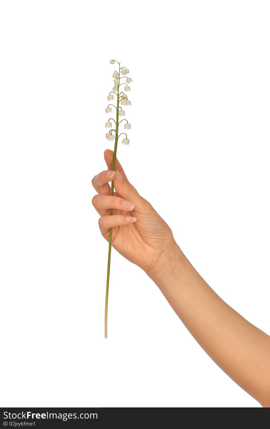 Woman holding lily of the valley in the hand