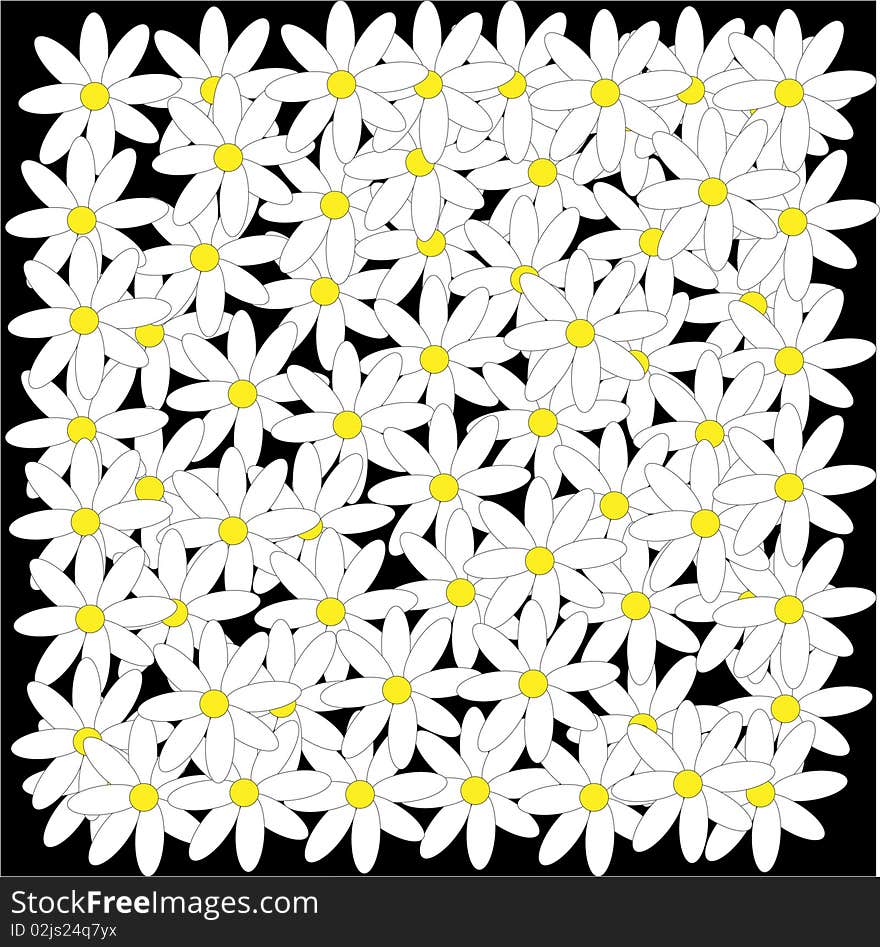 Illustration-daisies on a black background