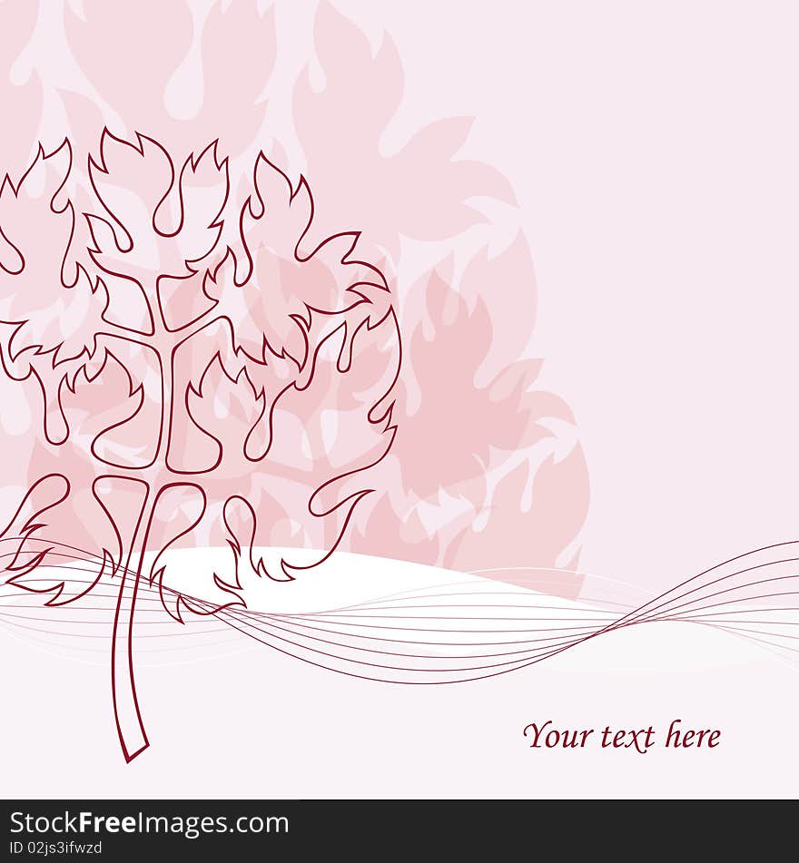 A square background with a decorative round-shaped plant. A square background with a decorative round-shaped plant