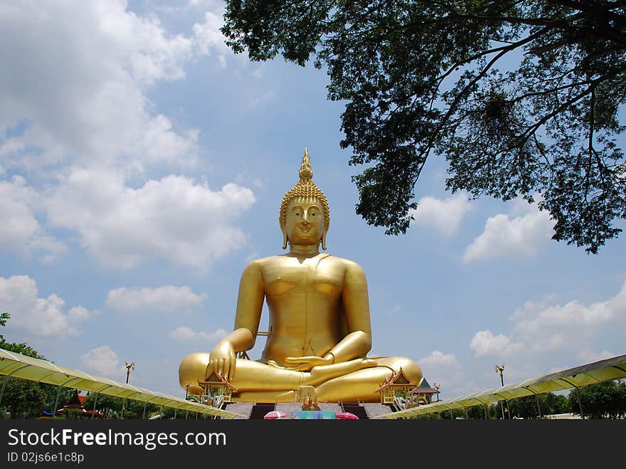 Big Buddha image ang big tree at temple in Thailand.