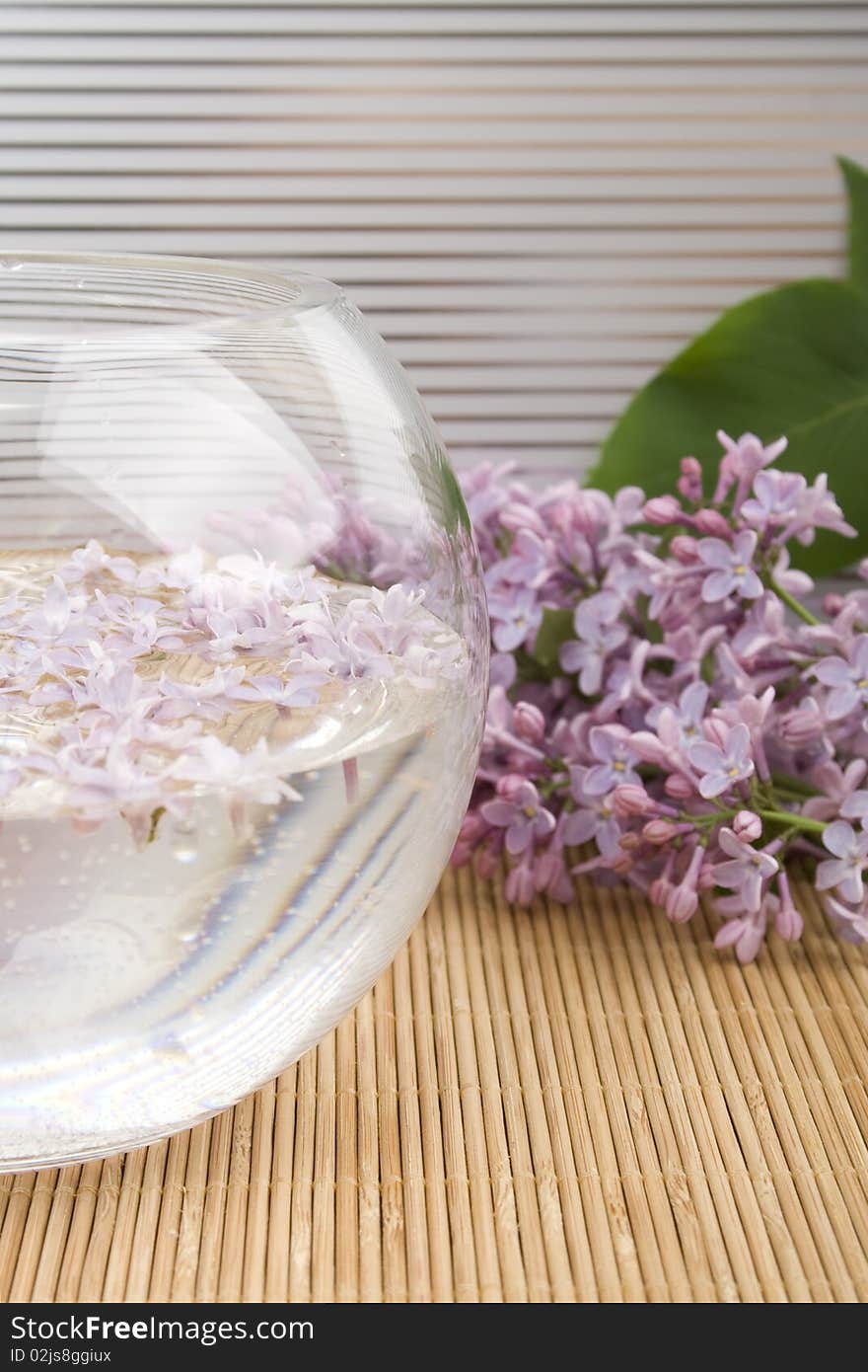 Scenery. A branch of lilacs near the bowl with water in which floated flowers. Scenery. A branch of lilacs near the bowl with water in which floated flowers