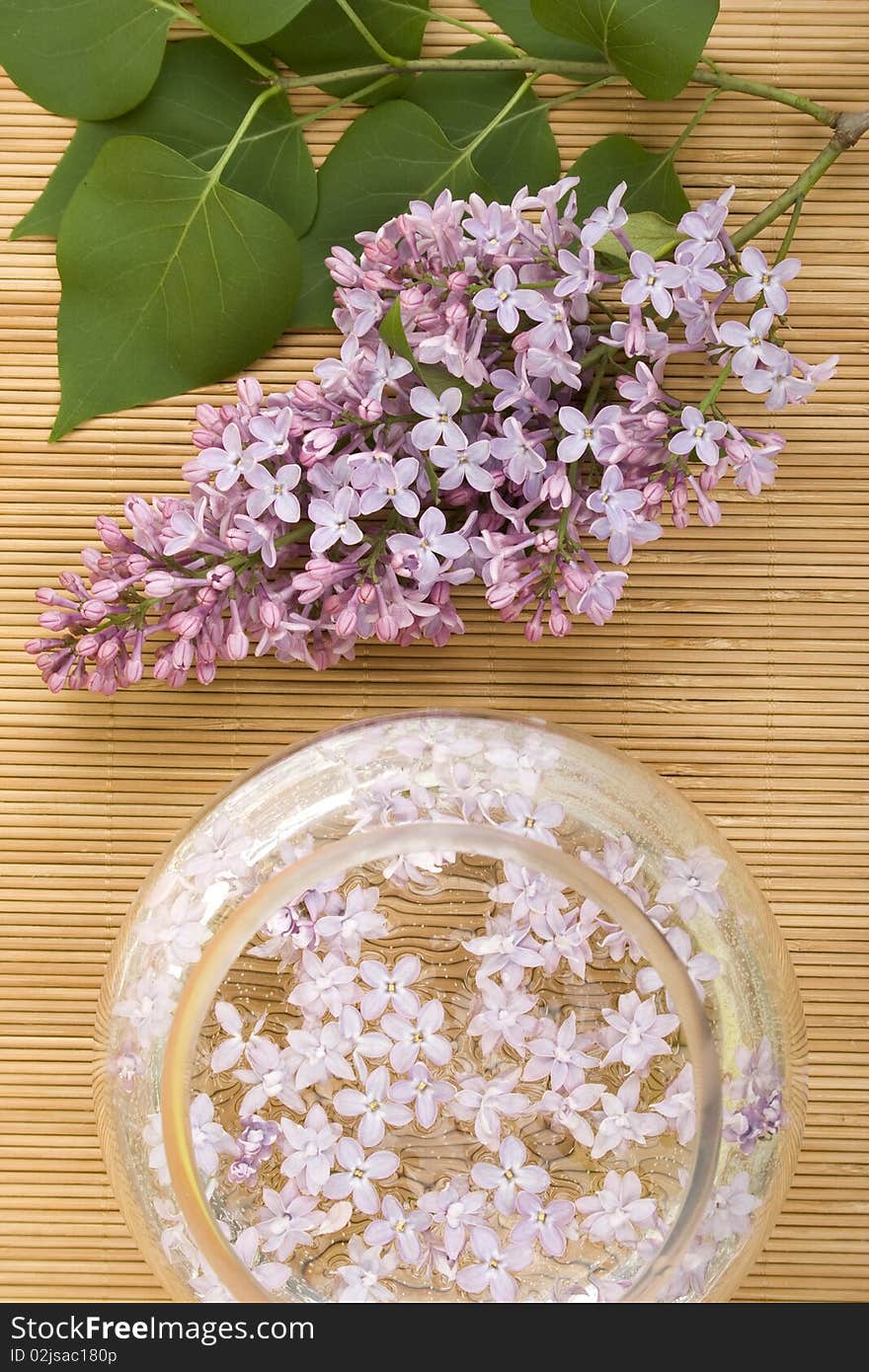 Scenery. A branch of lilacs near the bowl with water in which floated flowers. Scenery. A branch of lilacs near the bowl with water in which floated flowers