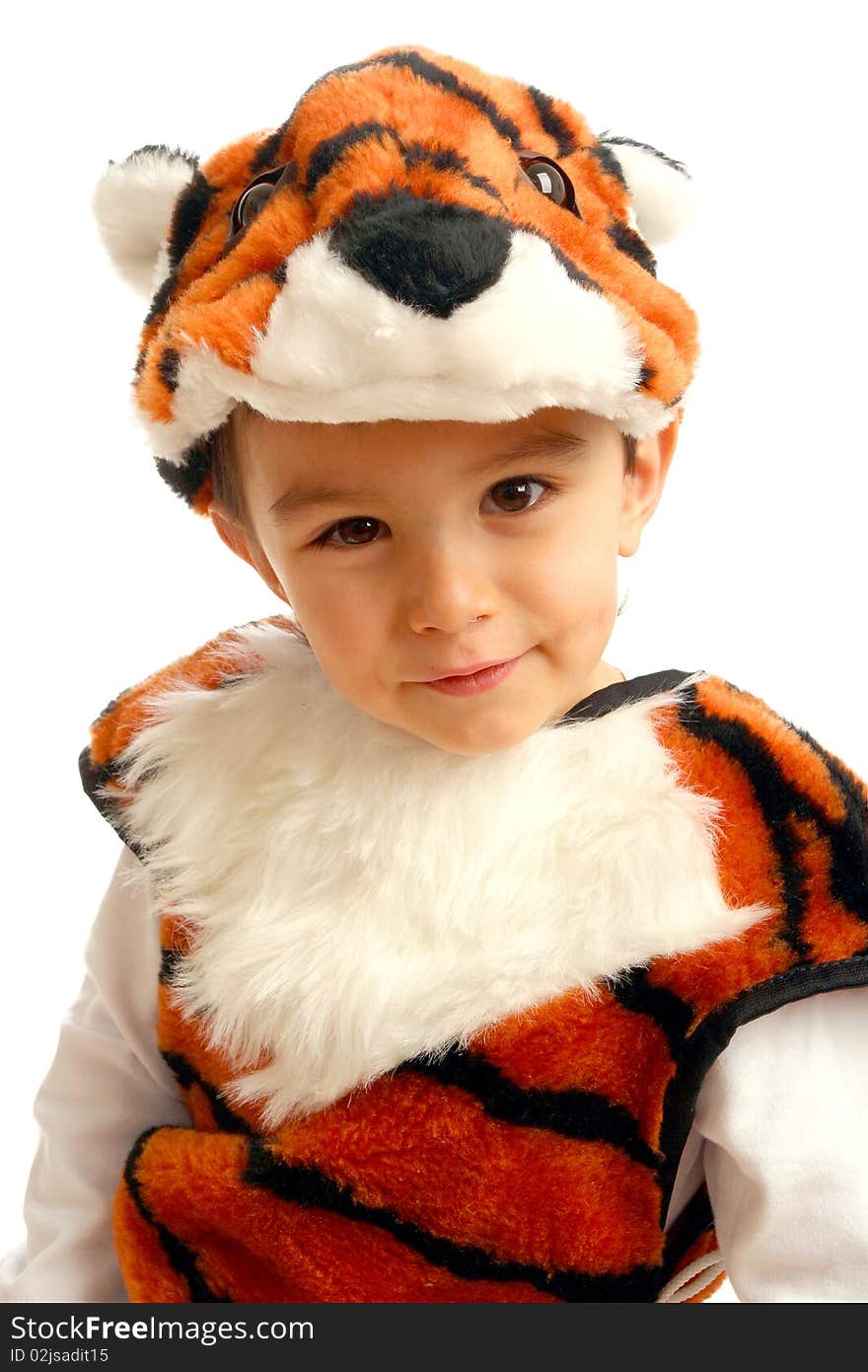 Little boy in fancy dress in the form of tiger