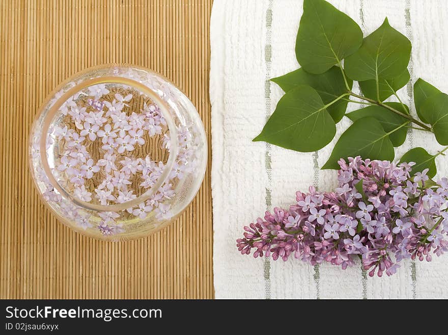 Scenery. A branch of lilacs near the bowl with water in which floated flowers. Scenery. A branch of lilacs near the bowl with water in which floated flowers