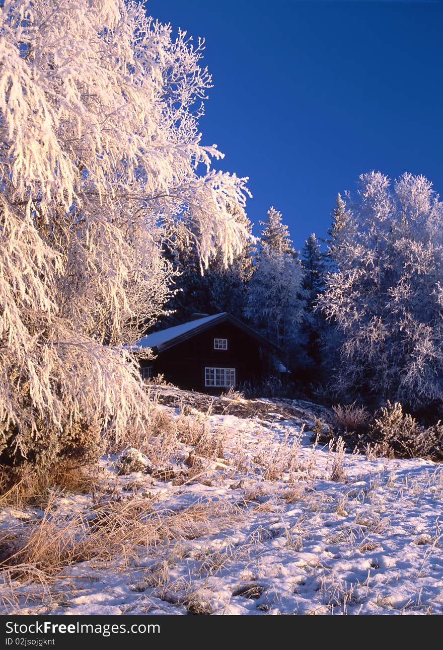 Wintry cottage