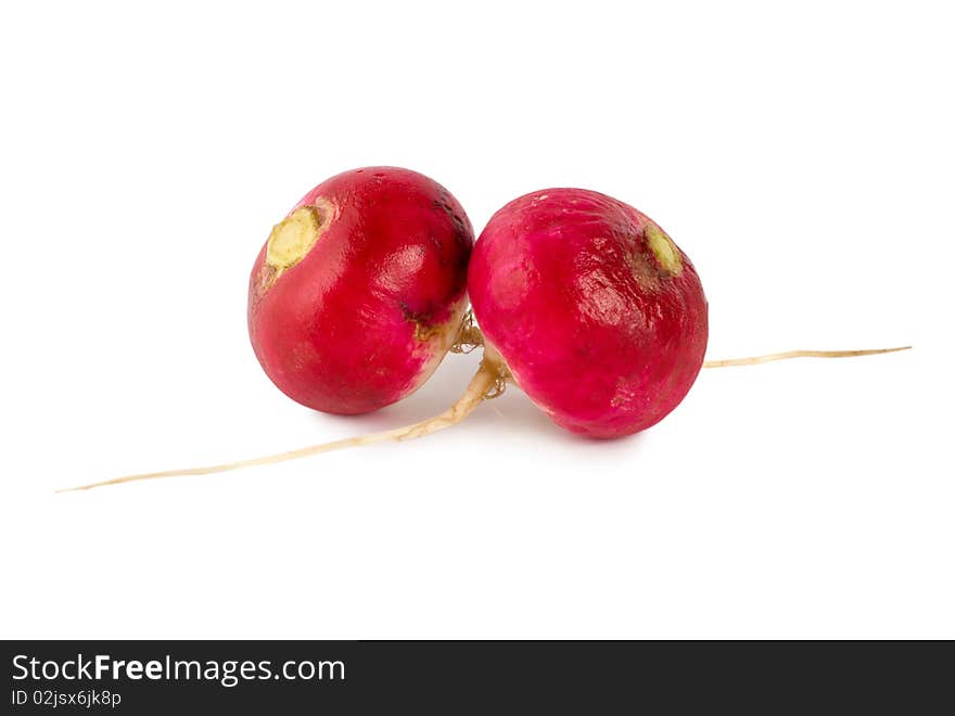 Fresh radishes