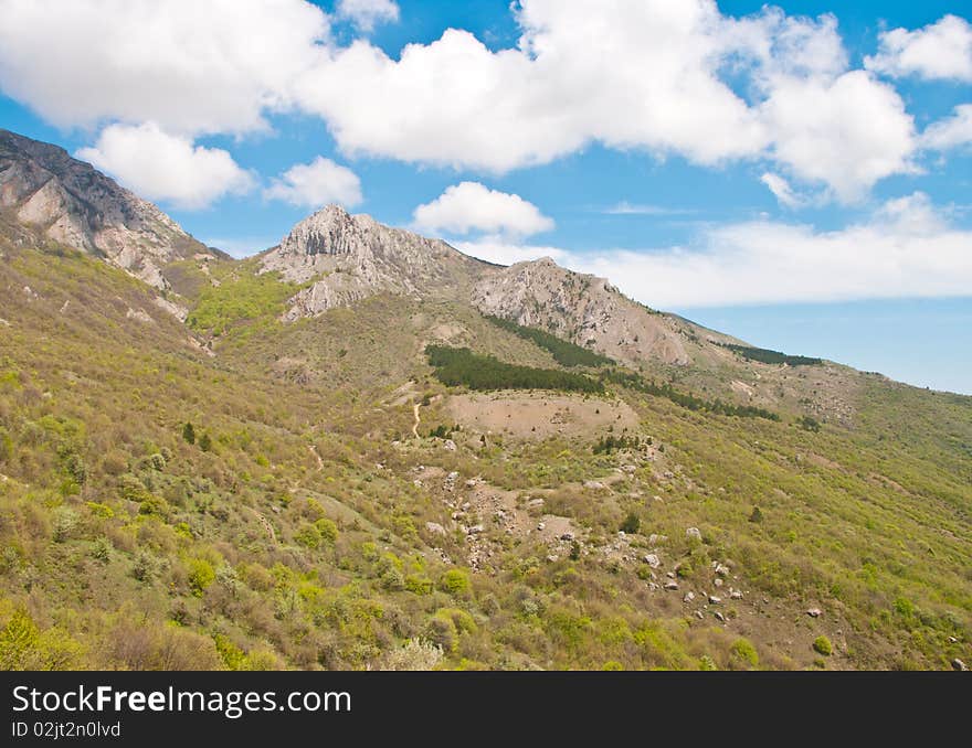 The view of Crimean mountains in summer. The view of Crimean mountains in summer