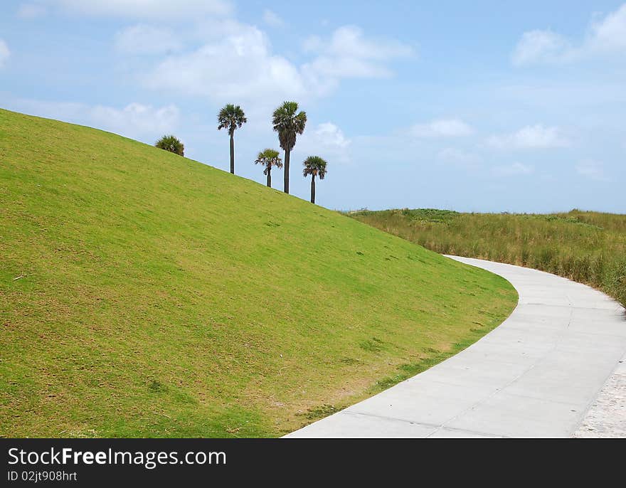 Palm trees behind green hill