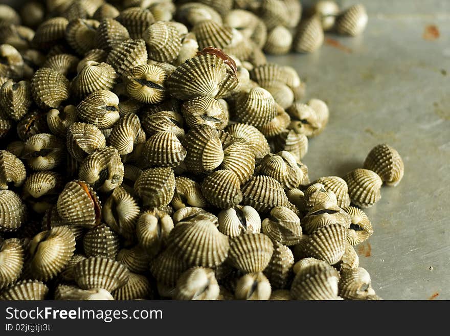 Seafood for Thai People in Thailand. Seafood for Thai People in Thailand