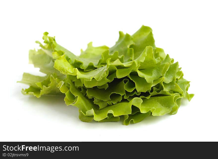 Salad leaves