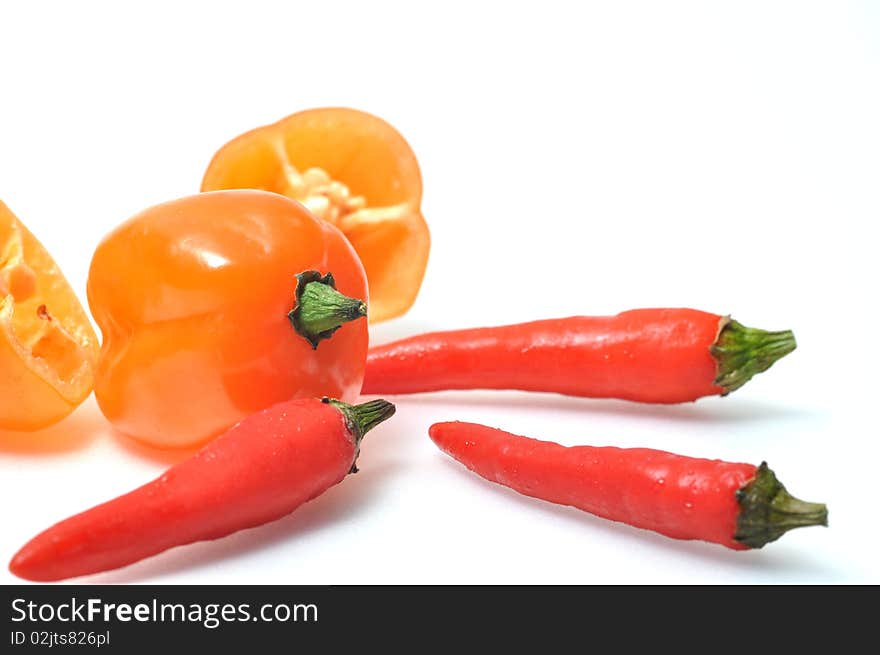 Isolated fresh hot pepper