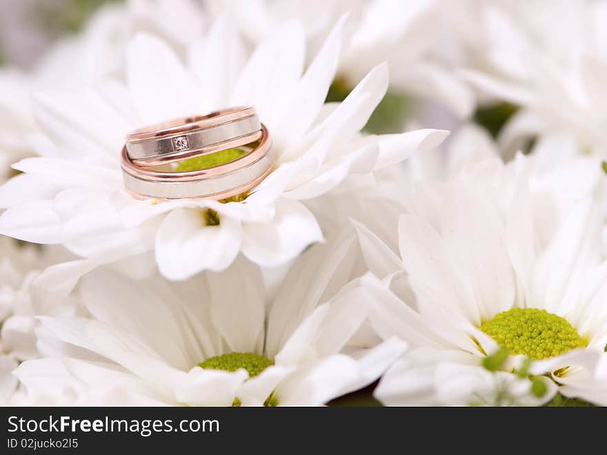 Wedding Rings On Chrysanthemum