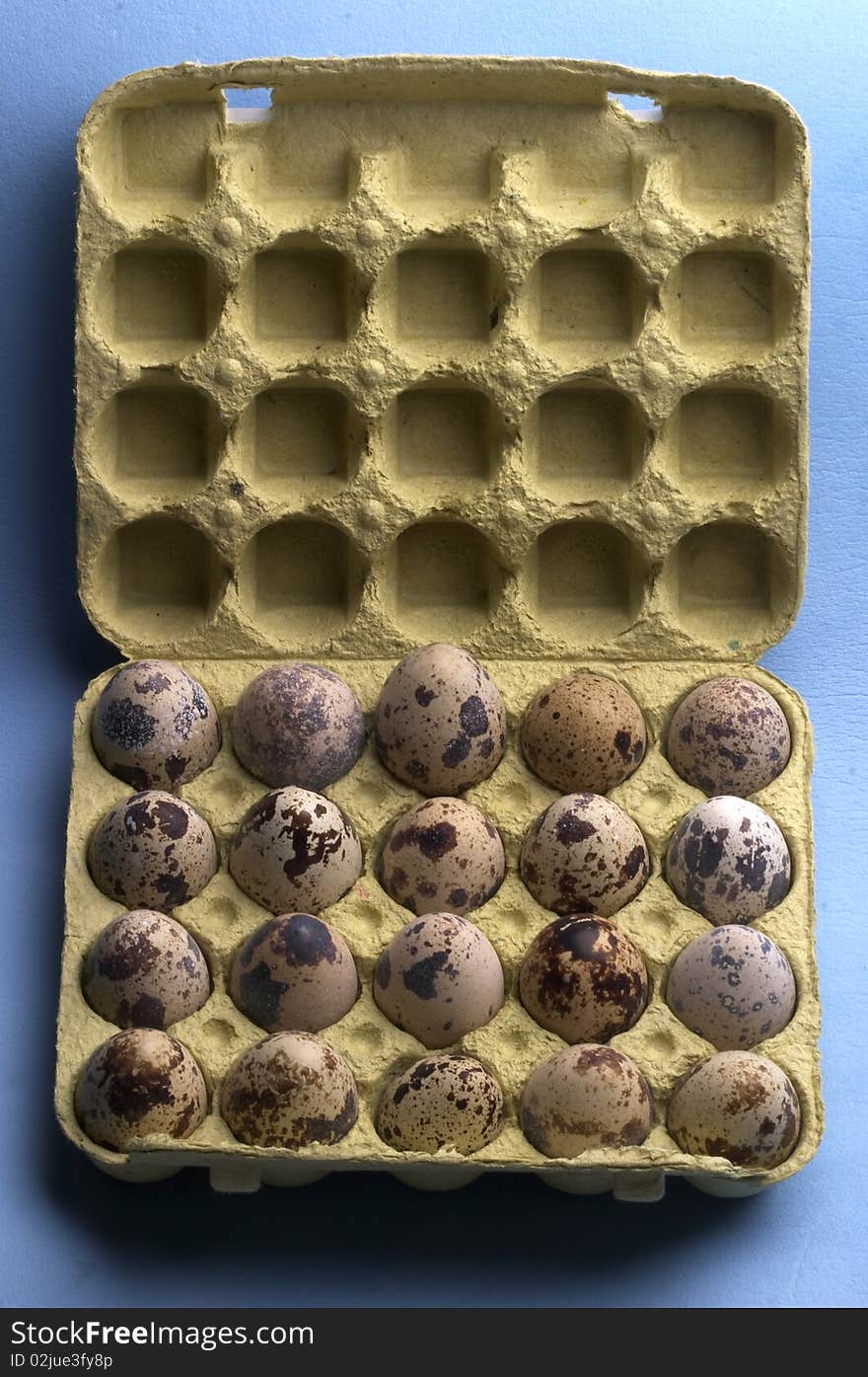 Quail eggs pack macro shot over blue background