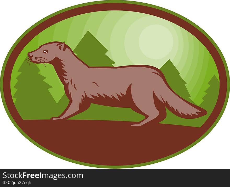 Illustration of a european mink side view set inside an oval.