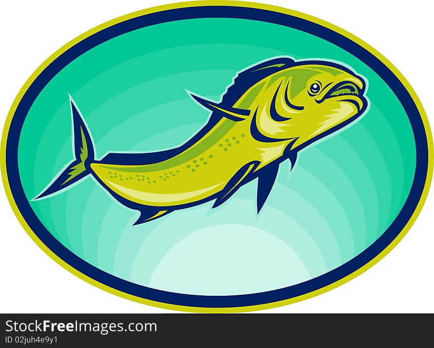 Illustration of a dolphin fish or mahi mahi swimming viewed from a low angle.