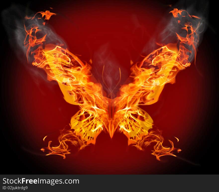 Butterfly in orange flame