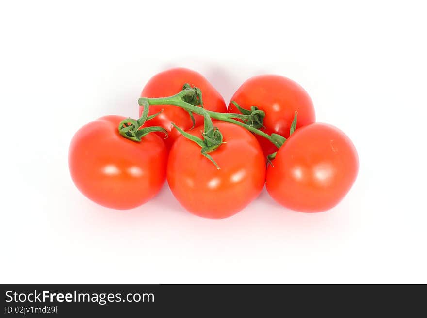 Red tomatoes on the branch isolated on white