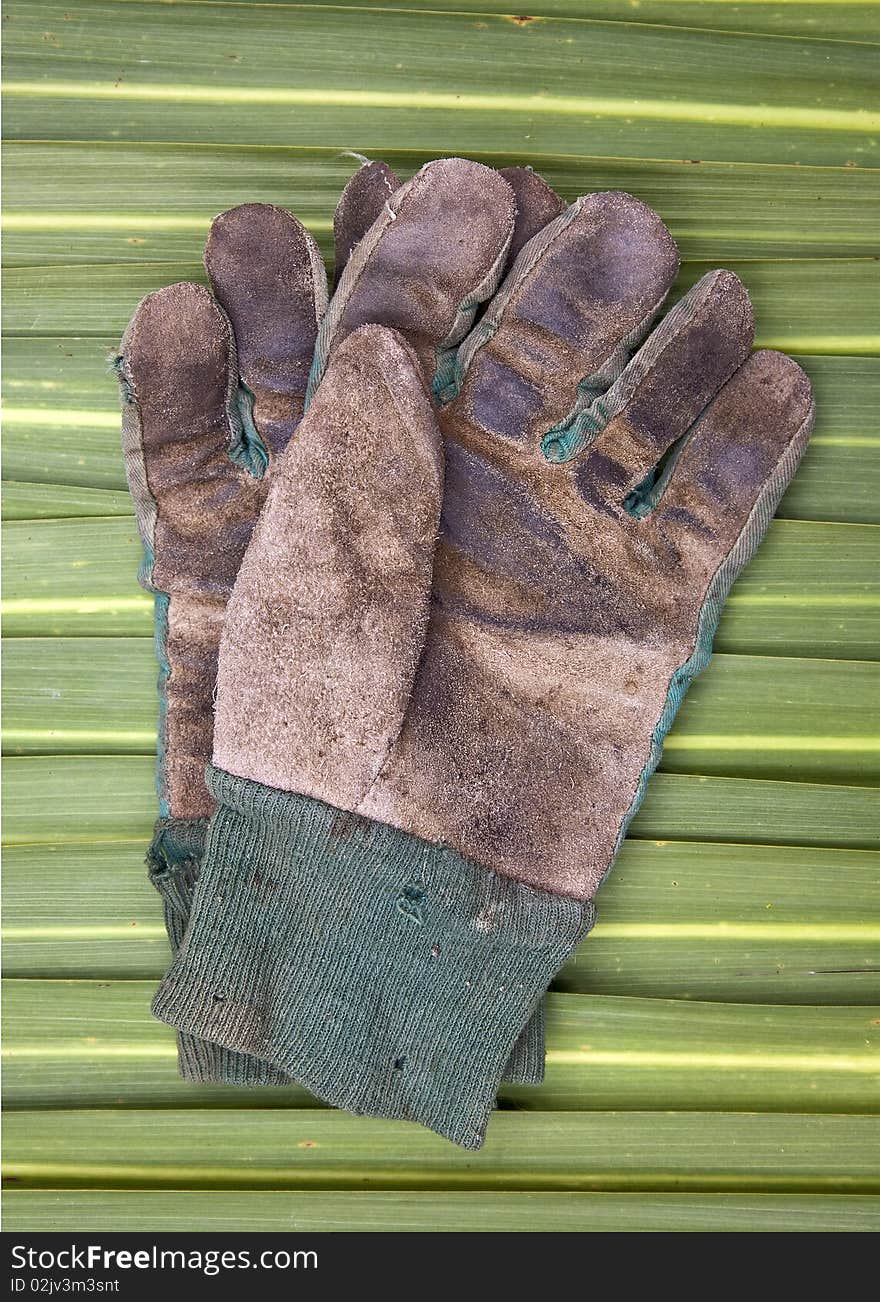 Old Gardening Gloves