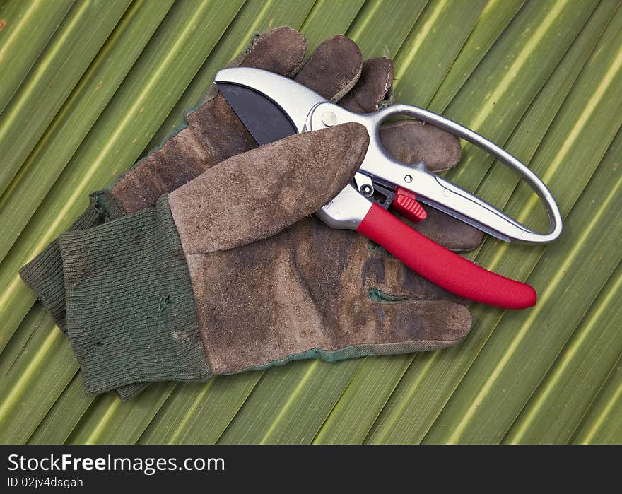 Secateurs and Old Gardening Gloves