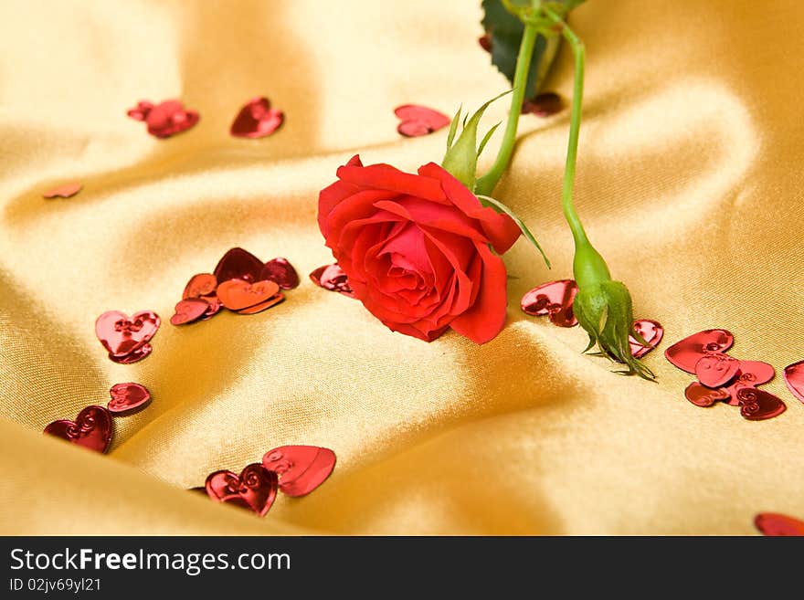 Red roses on golden satin