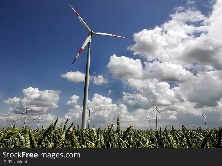 Wind turbines behind a grainfield.