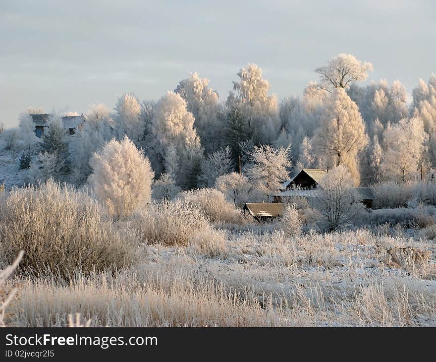 Village among trees covered by hoarfrost. Village among trees covered by hoarfrost