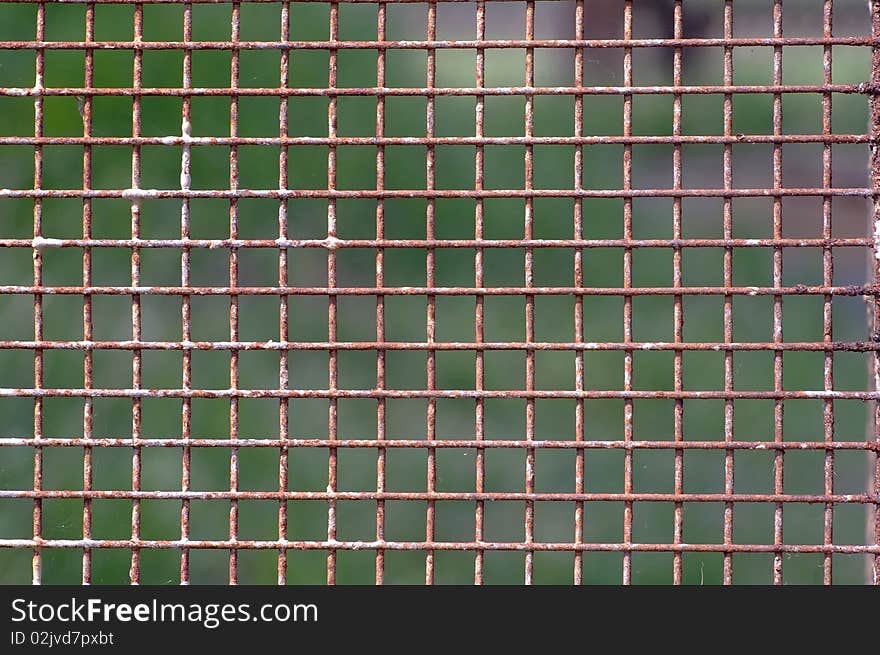 Iron grid by closeup against the green background