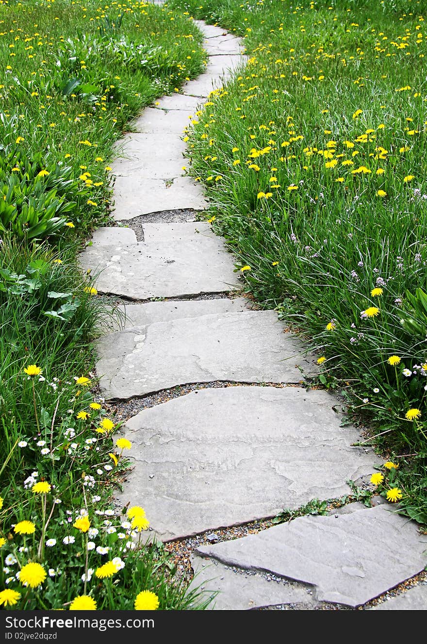 Stone path among yellow dandelions