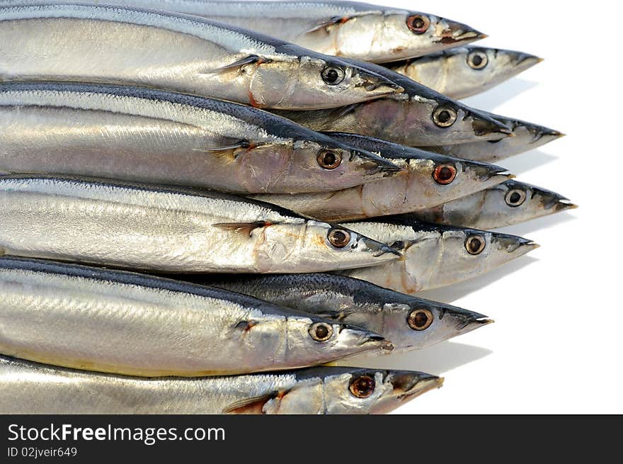 Several marine fish against the white background