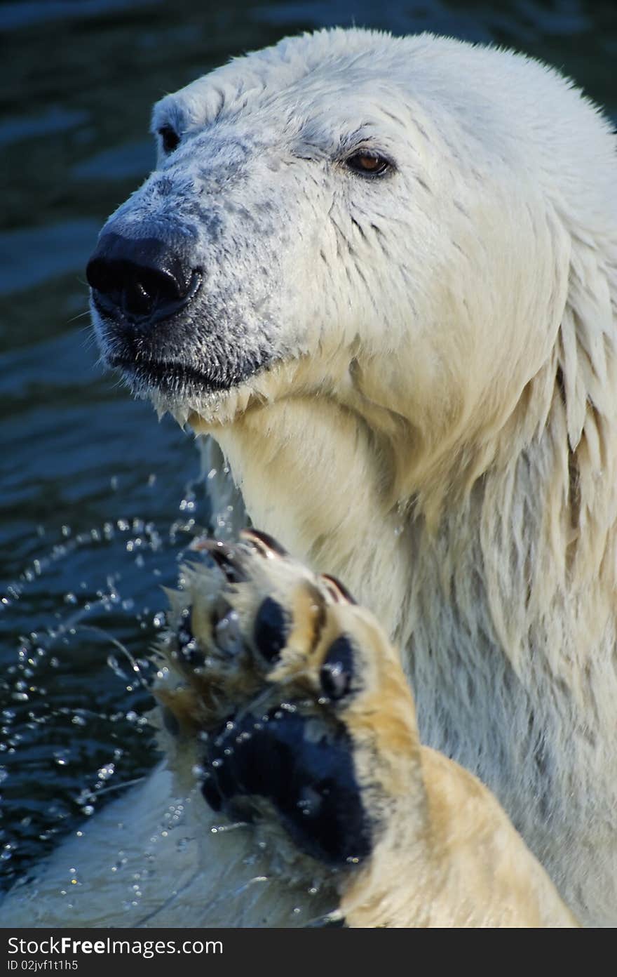 Bath time