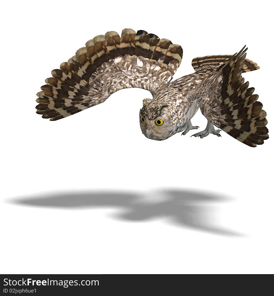 Little Owl Bird. 3D rendering with clipping path and shadow over white