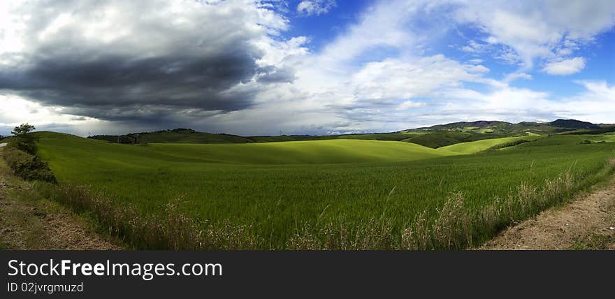 A panoramic view oa a green field. A panoramic view oa a green field