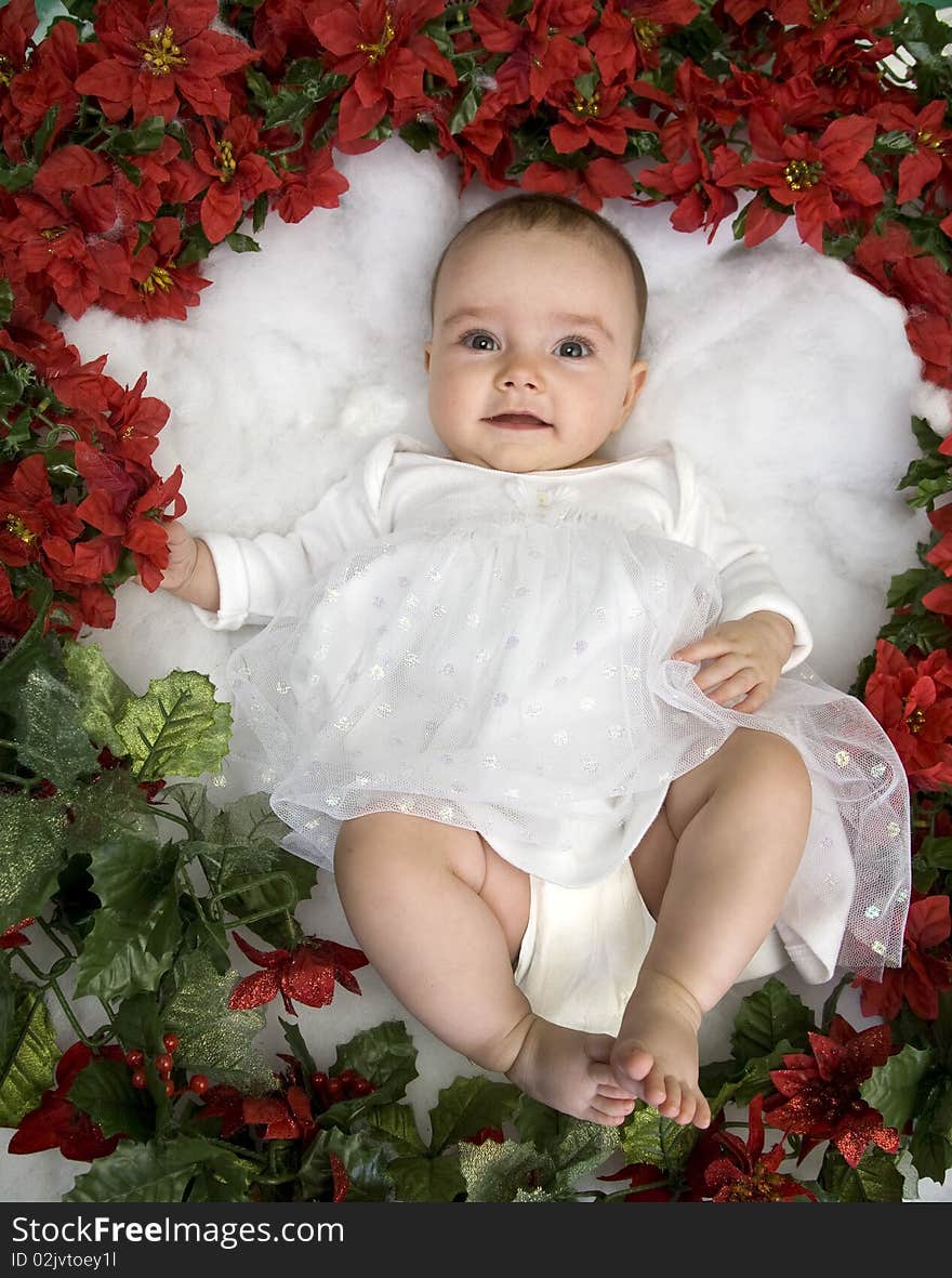 Angelic infant girl in white surrounded by red poinsiettas. Angelic infant girl in white surrounded by red poinsiettas