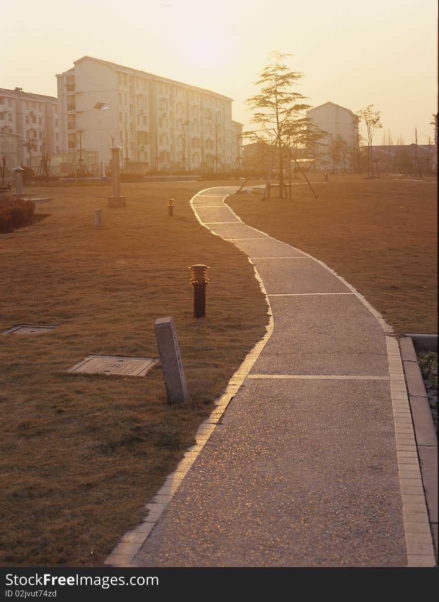 A road in the sunset seems to be golden